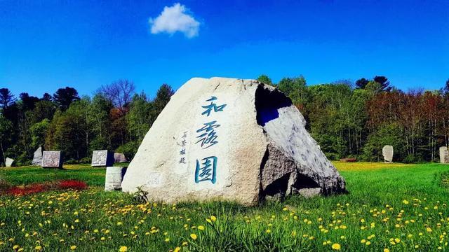 逃离整洁的杂物间