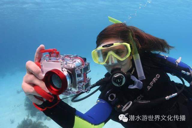诱捕小浣熊
